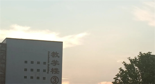 轻表查查