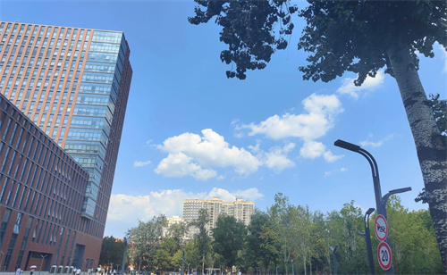 双师型教师是什么意思