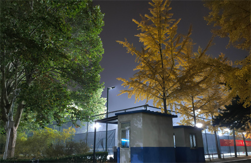 初中老师和小学老师工资差别大吗
