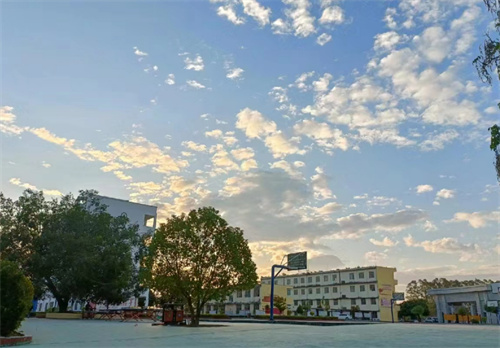 特岗教师待遇如何