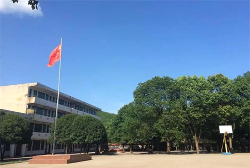 复读生有学籍吗